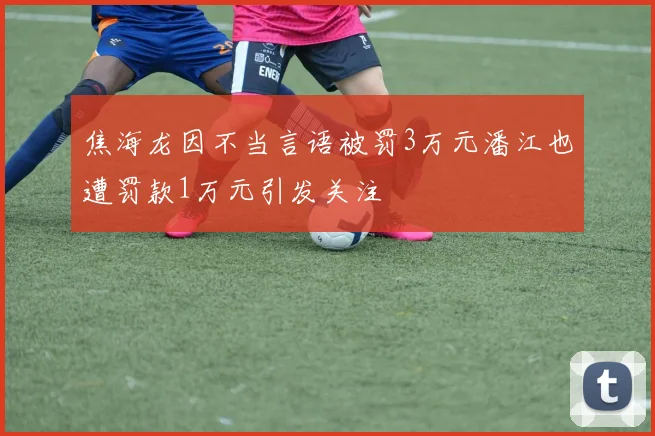 焦海龙因不当言语被罚3万元潘江也遭罚款1万元引发关注