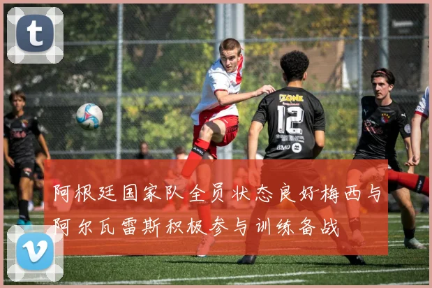 阿根廷国家队全员状态良好梅西与阿尔瓦雷斯积极参与训练备战